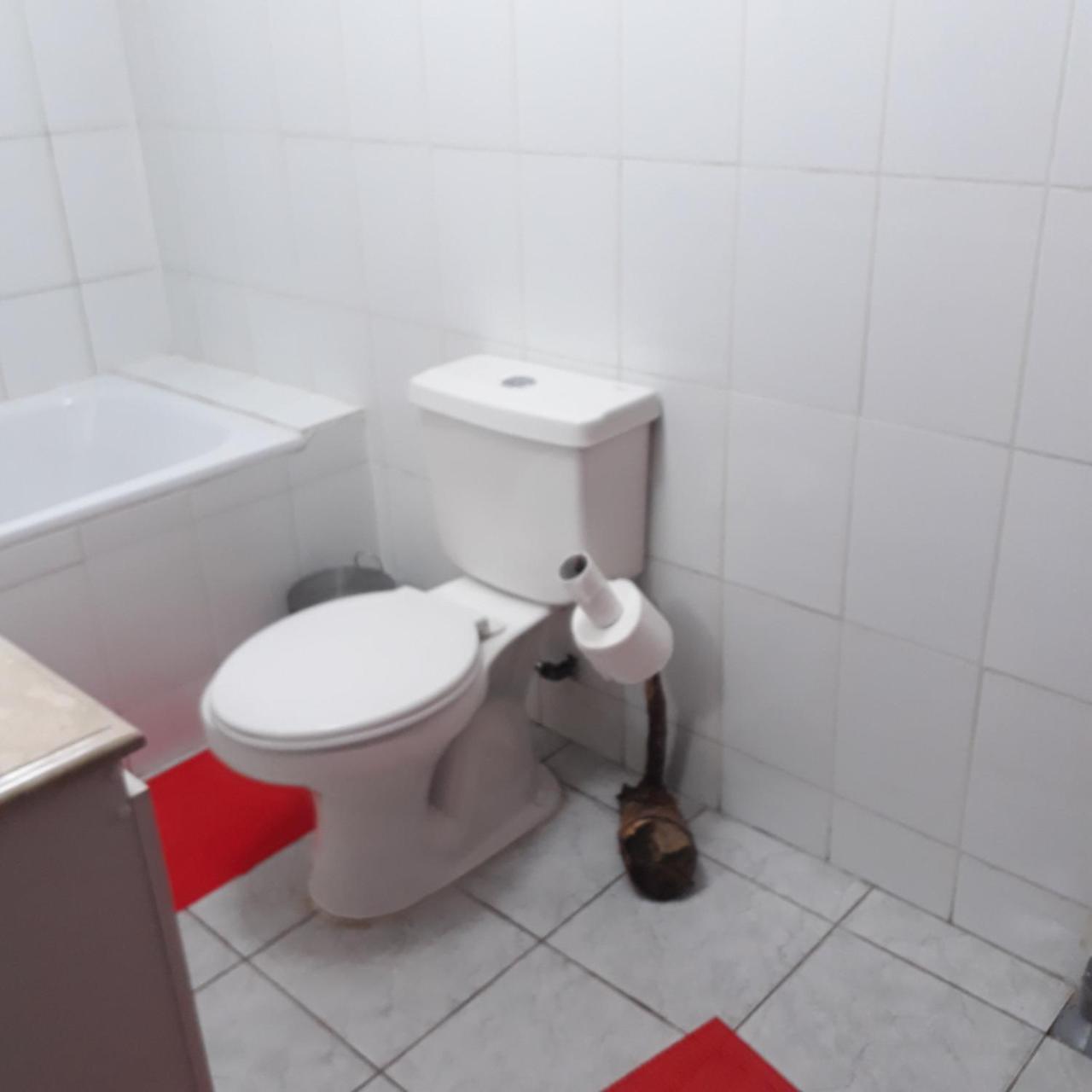 La Llar Hostel Panguipulli Εξωτερικό φωτογραφία